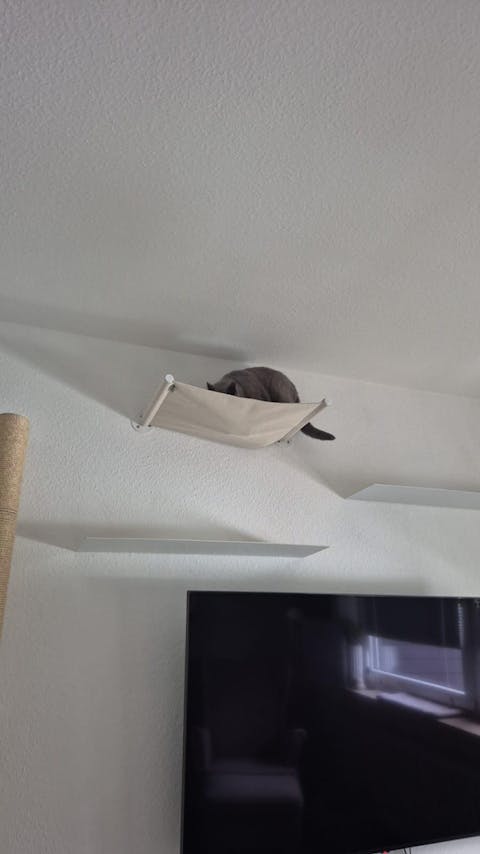 HÄNGEMATTE für Katzen