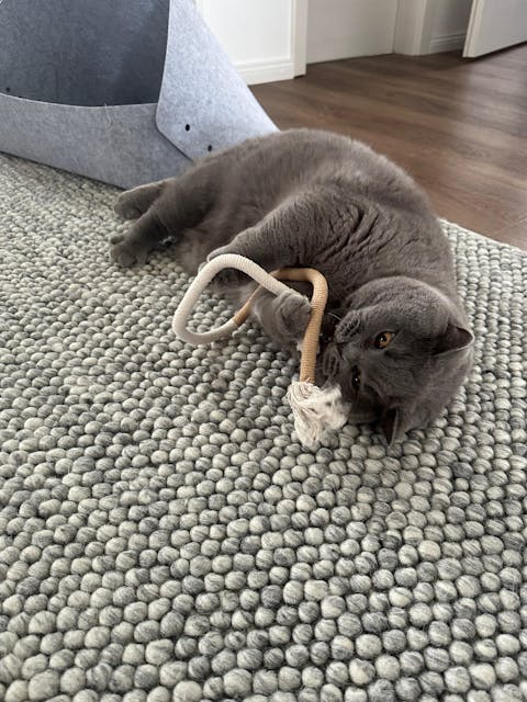 SPIELSEIL - mit Matatabi