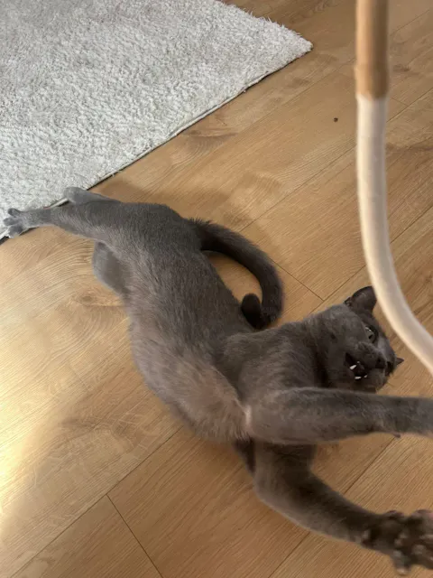 SPIELSEIL - mit Matatabi