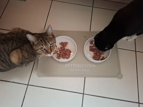 XXL Futterstation - 3er Set