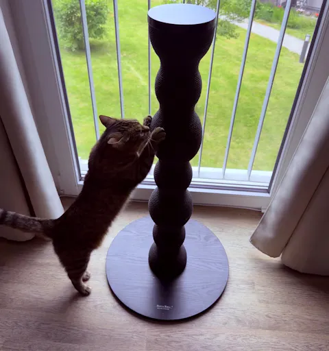 KRATZSÄULE - Curvy (schwarz)