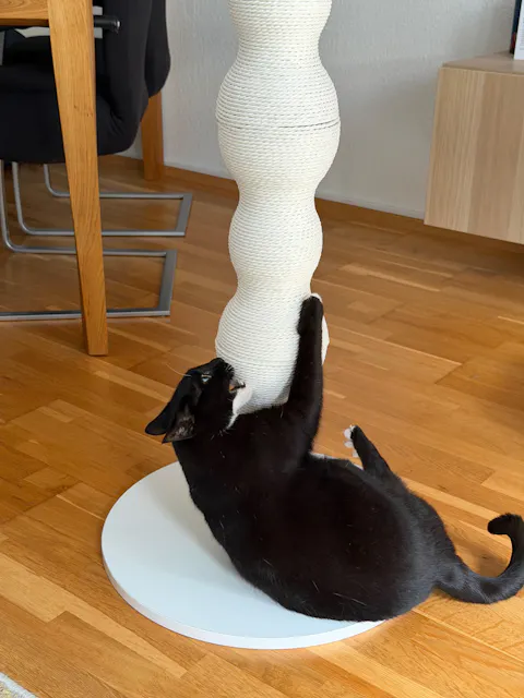 KRATZSÄULE - Curvy (weiss)