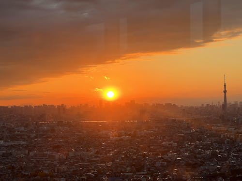 Layered Knit Shirt for Women