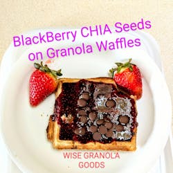 Missy J’s Organic Unsweetened  Carob Chips, 8oz