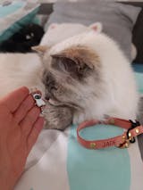 Médaille · Like Me ‍⬛