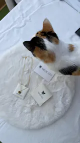 Collier personnalisé gravé 