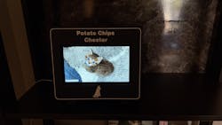 mlemory keeper™ - boop snoot black + purrfect white