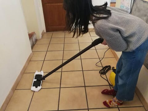 Manufacturer's outlet Waitbird Multipurpose Powerful Steamer Mops