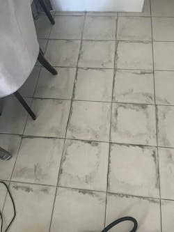 Manufacturer's outlet Waitbird Multipurpose Powerful Steamer Mops