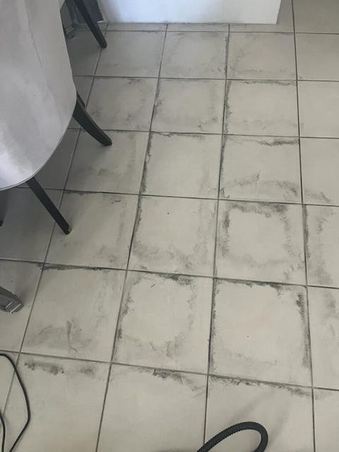 Manufacturer's outlet Waitbird Multipurpose Powerful Steamer Mops