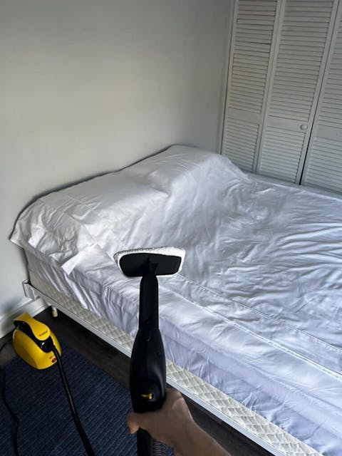 Manufacturer's outlet Waitbird Multipurpose Powerful Steamer Mops