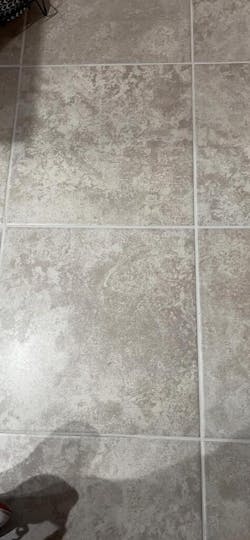 Manufacturer's outlet Waitbird Multipurpose Powerful Steamer Mops