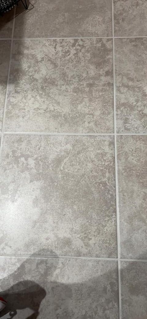 Manufacturer's outlet Waitbird Multipurpose Powerful Steamer Mops