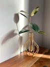 The Original Metal Wire Decorative Glass Tube Vase