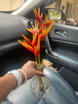 The Original Metal Wire Decorative Glass Tube Vase