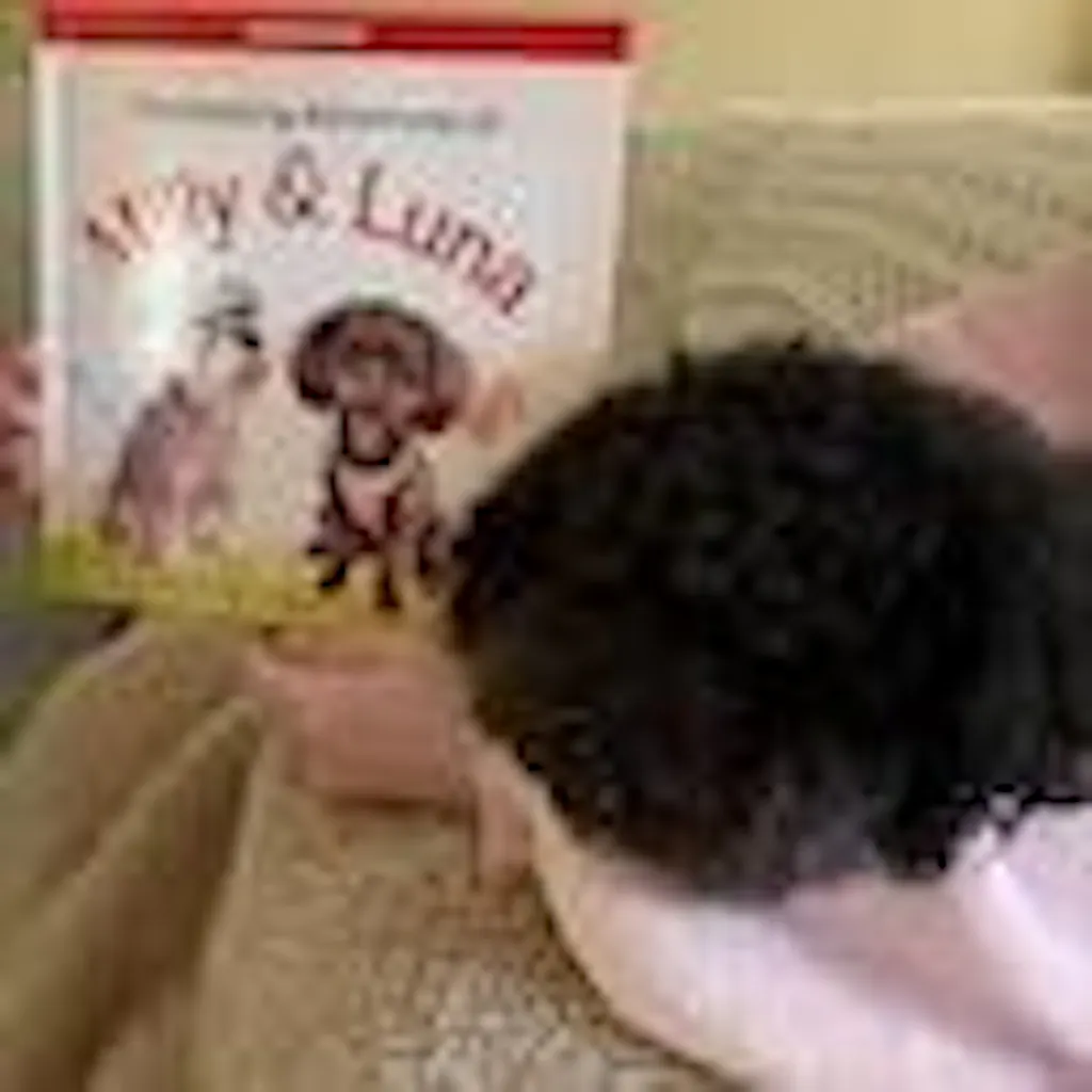 Custom Pet Kids Story Book - Pet Photo + Name