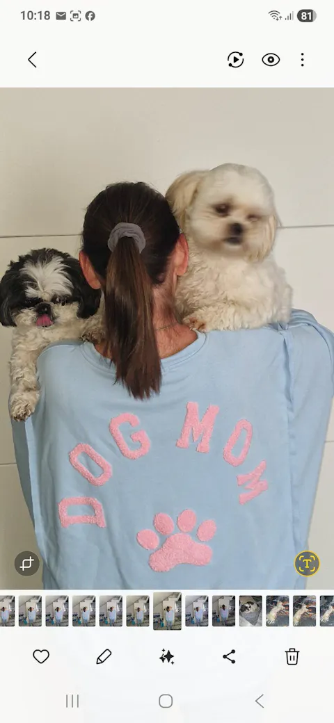 Sweatshirt "DOG MOM“, hellblau/rosa