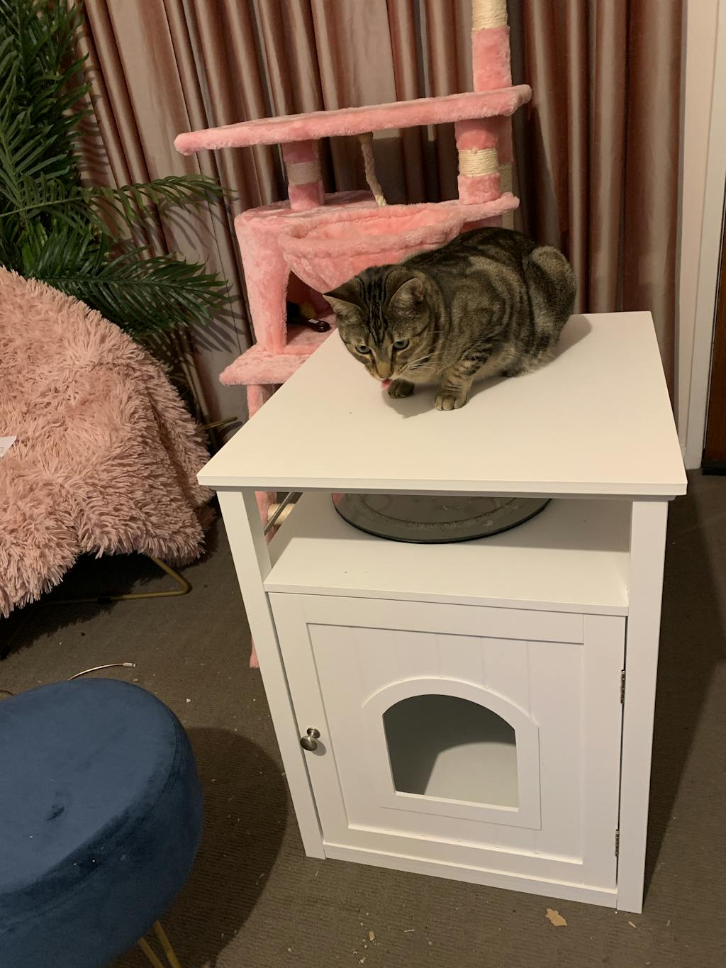 Jasper 2 Cat Litter Cat Litter Box Furniture, White