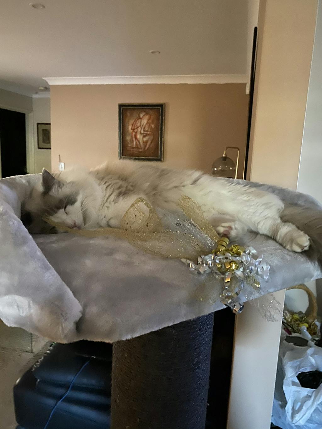 Cattitude Extra Large Cat Tree, Grey Modern Pets