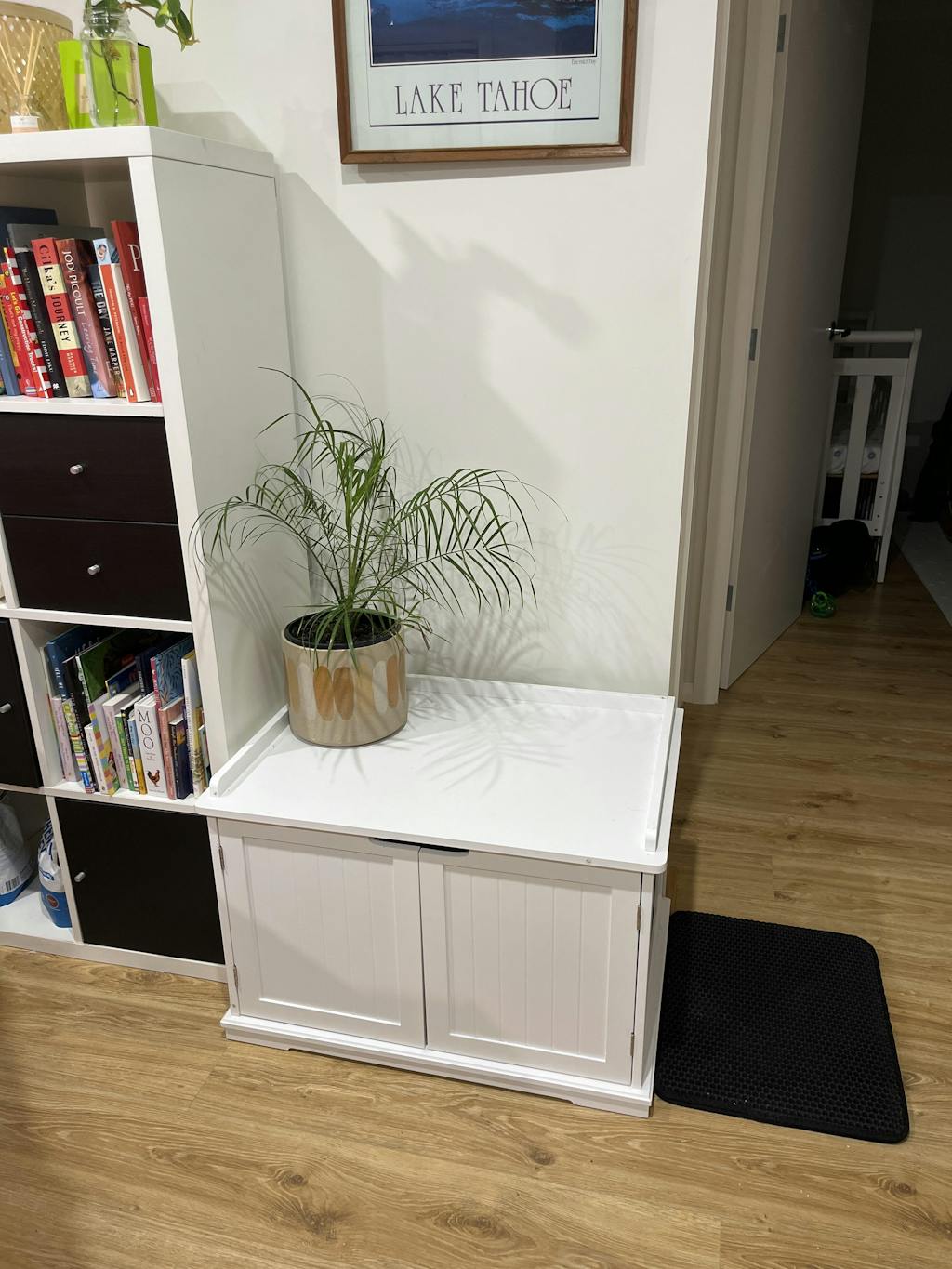 Cleo Cat Litter Indoor Cat Enclosure, White Modern Pets