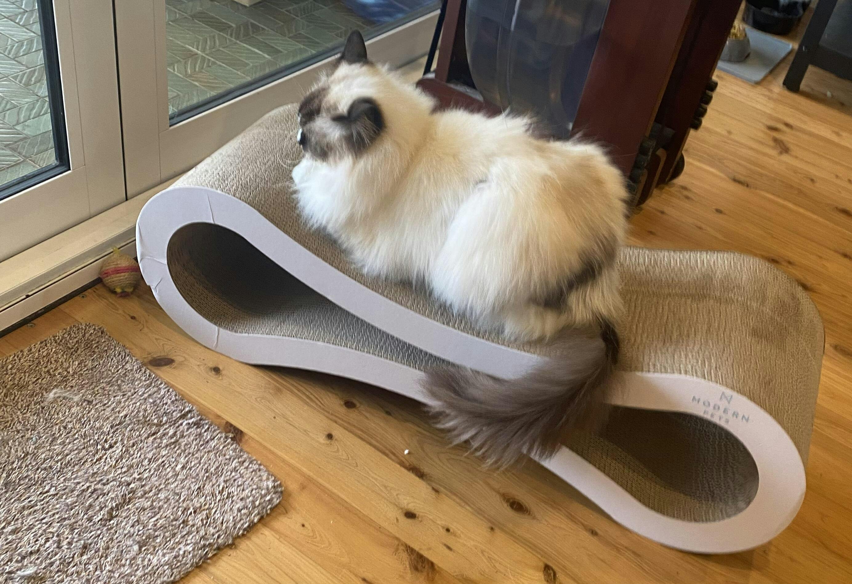 Cat Scratcher Infinity Lounge, White Modern Pets