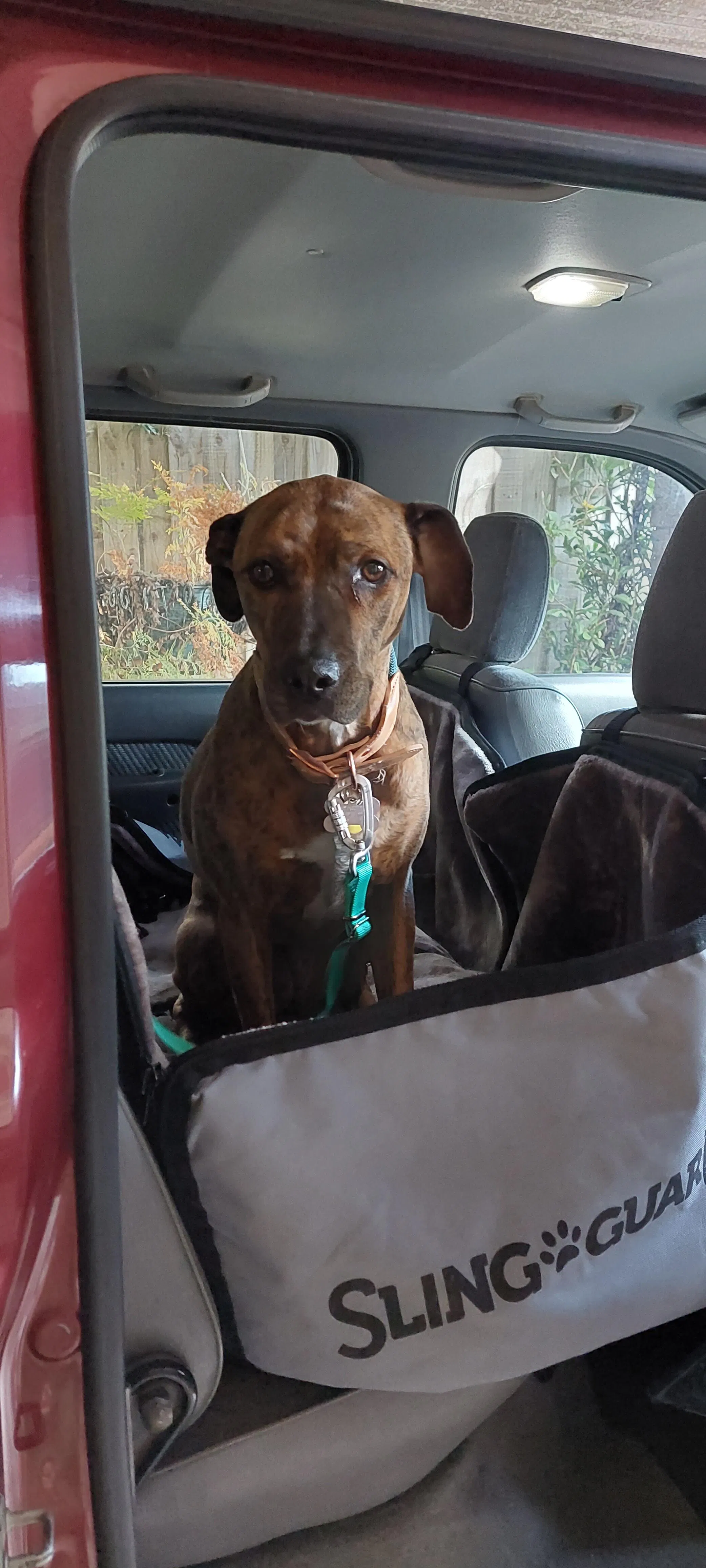 Buy Dog Car Seat Cover Online, Car Pet Hammocks, Pet Seat Protector