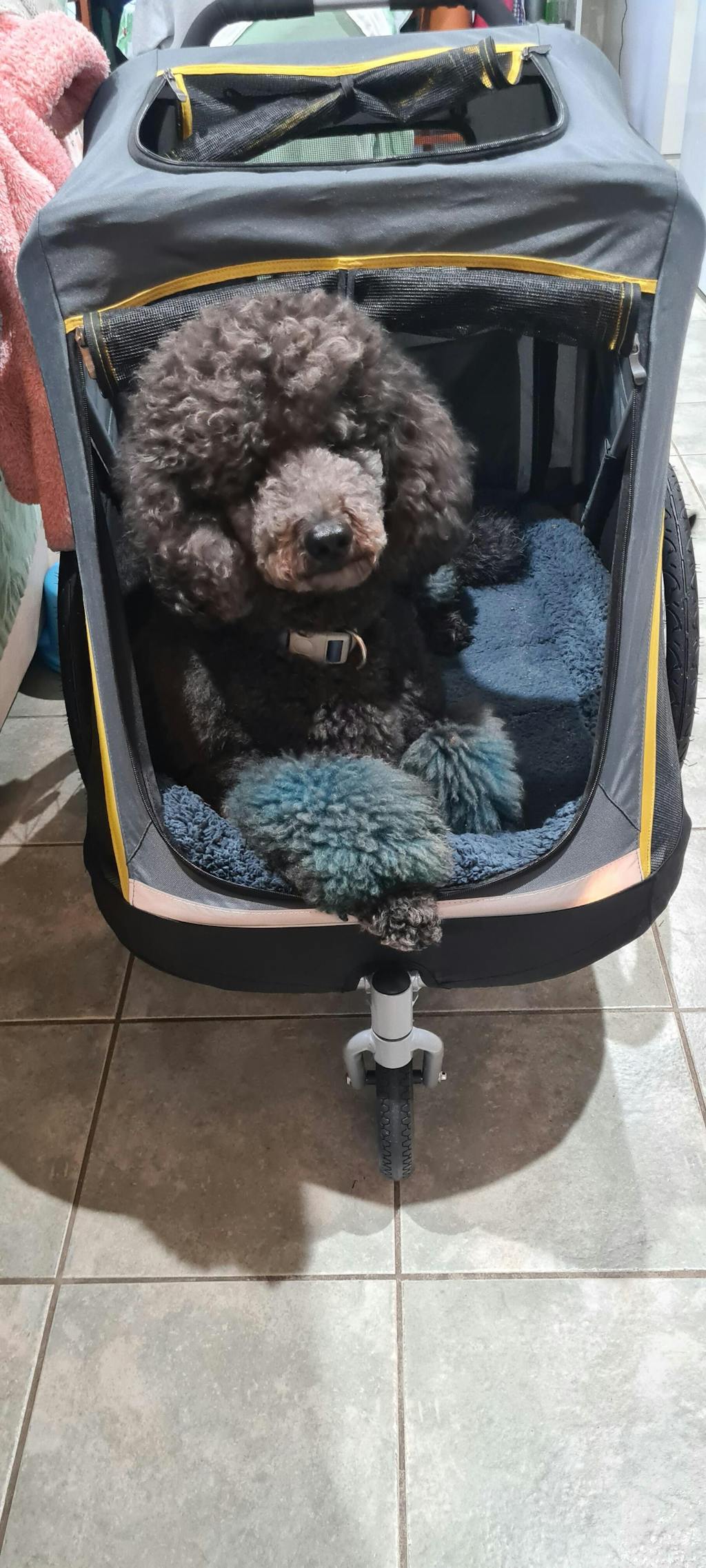 Ibiyaya Hercules Heavy Duty Pro Pet Stroller V2 for Large Dogs Modern