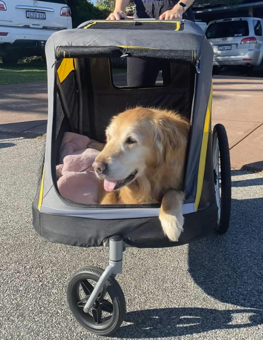 Ibiyaya Hercules Heavy Duty Pro Pet Stroller V2 for Large Dogs Modern