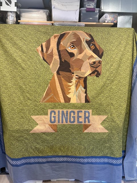 German Shorthaired Pointer