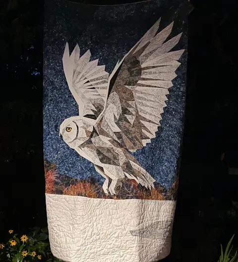 Winter Owl