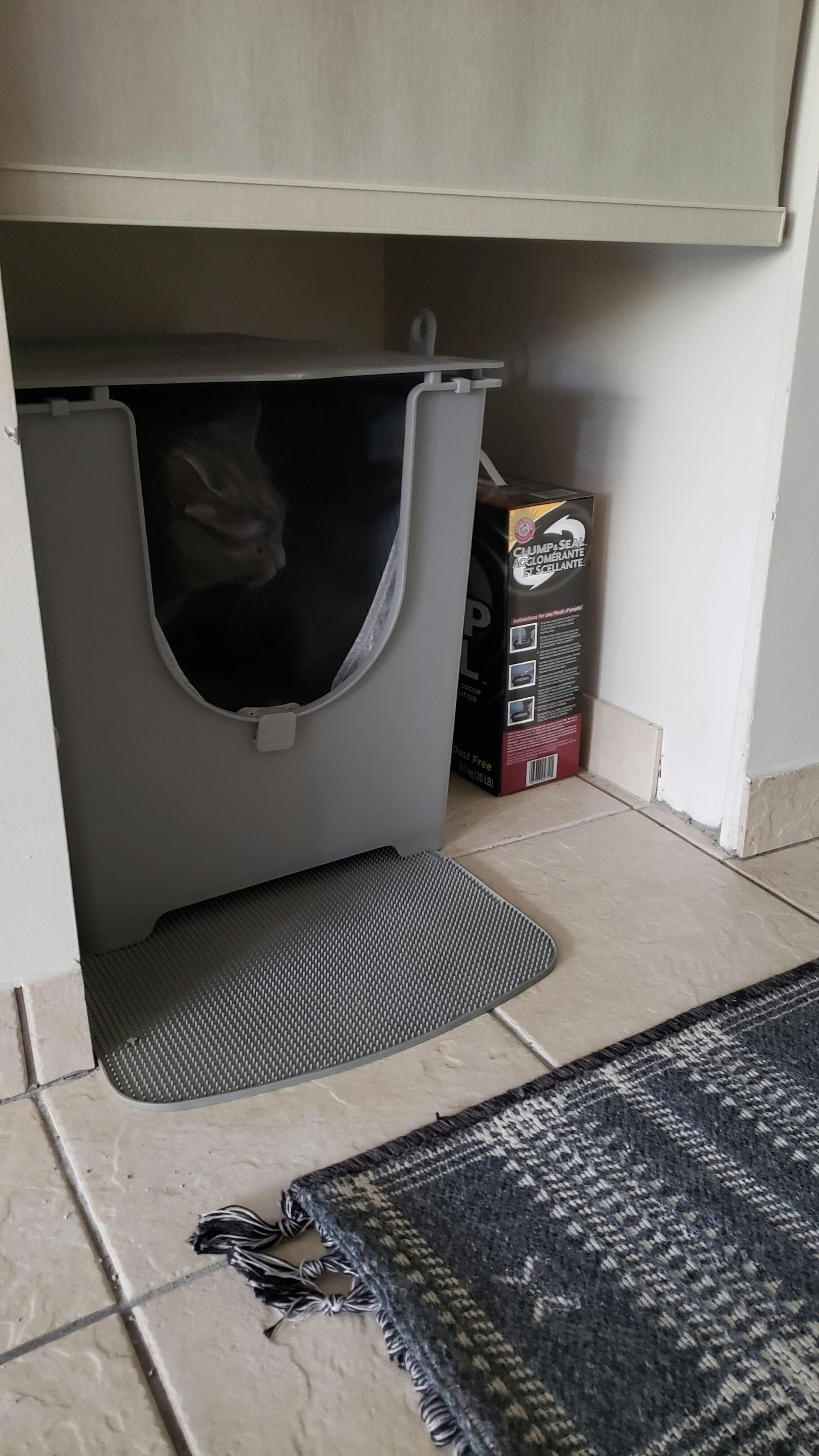 Flip Liners Type F (3Pack) Modkat