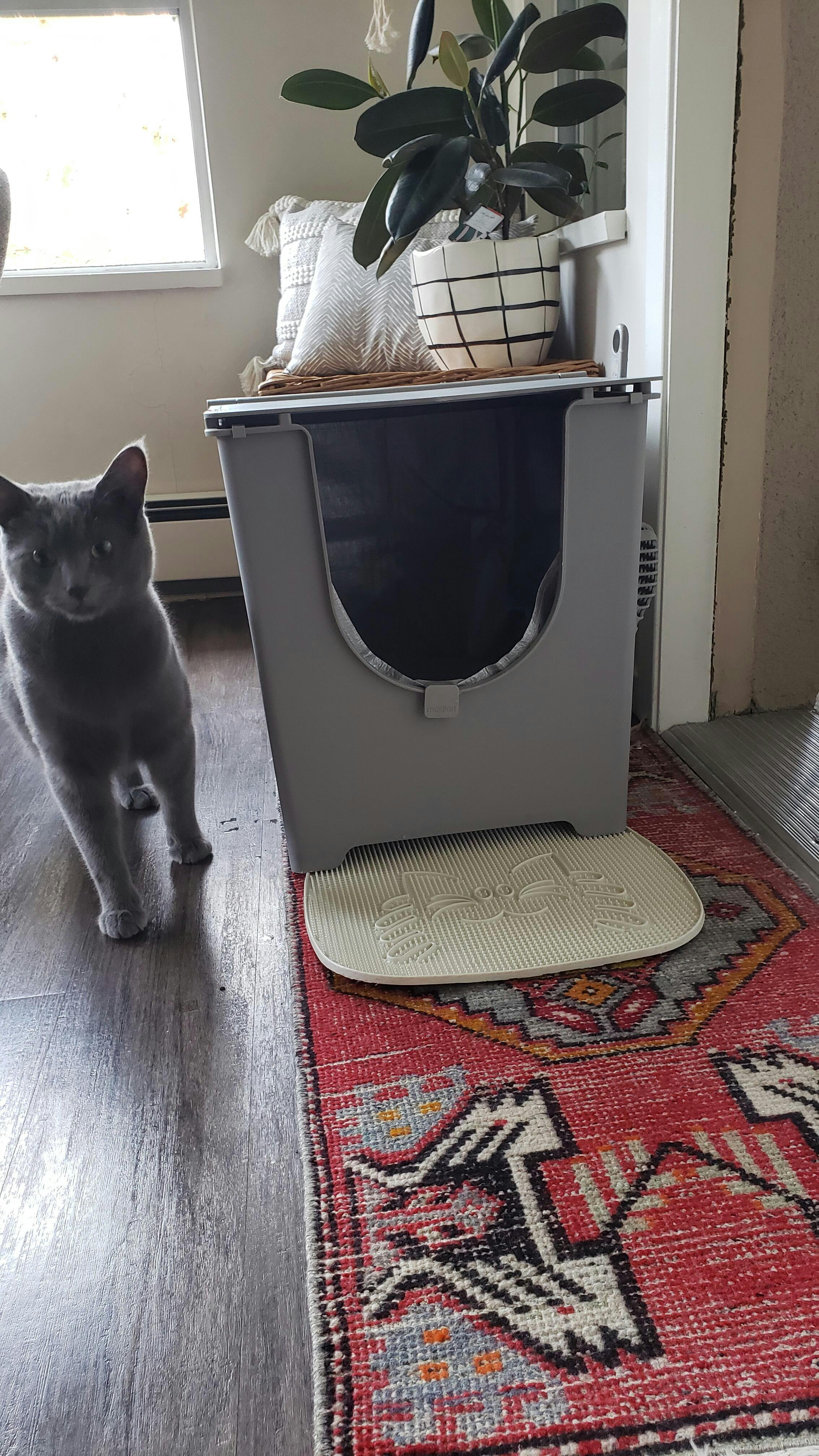 Flip Liners Type F (3Pack) Modkat