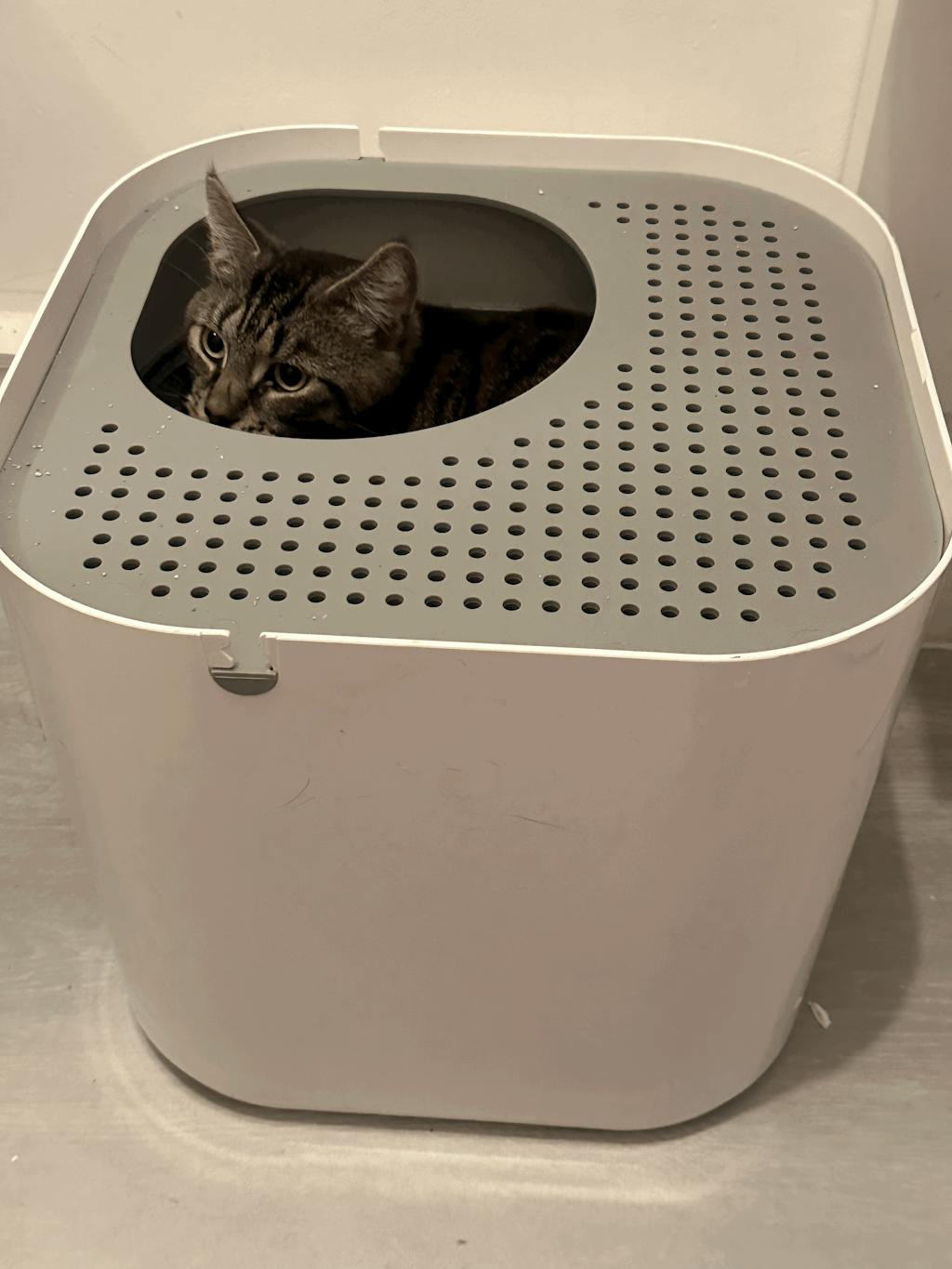 Modkat Litter Box Modkat EU