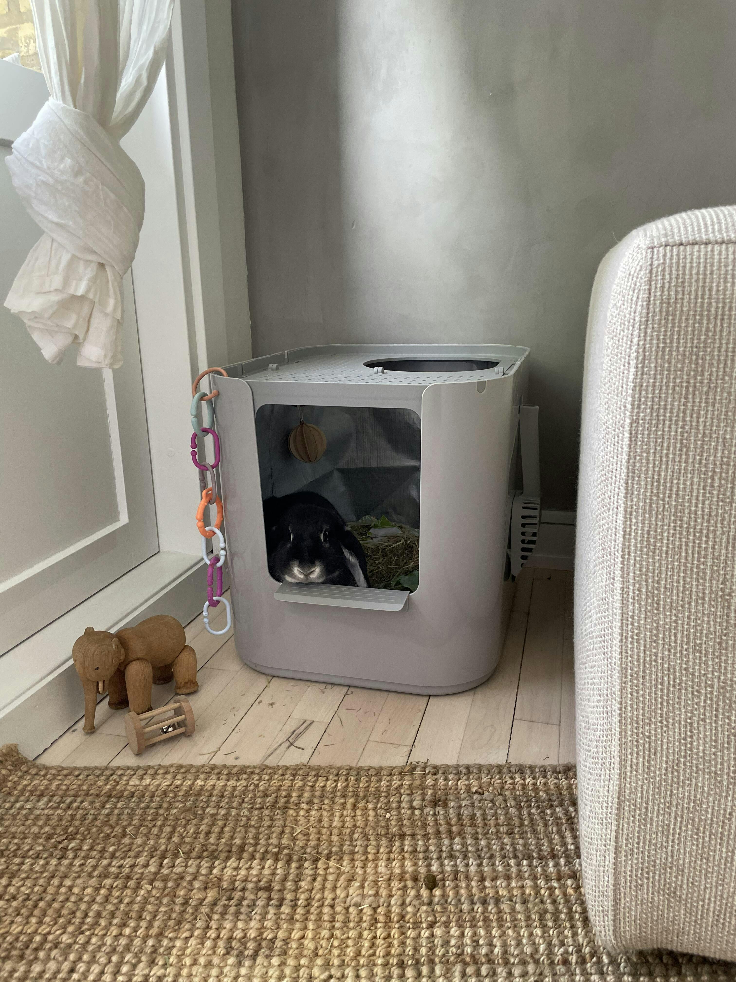 Extra Large Litter Box For Big Cats Large Litter Box Modkat