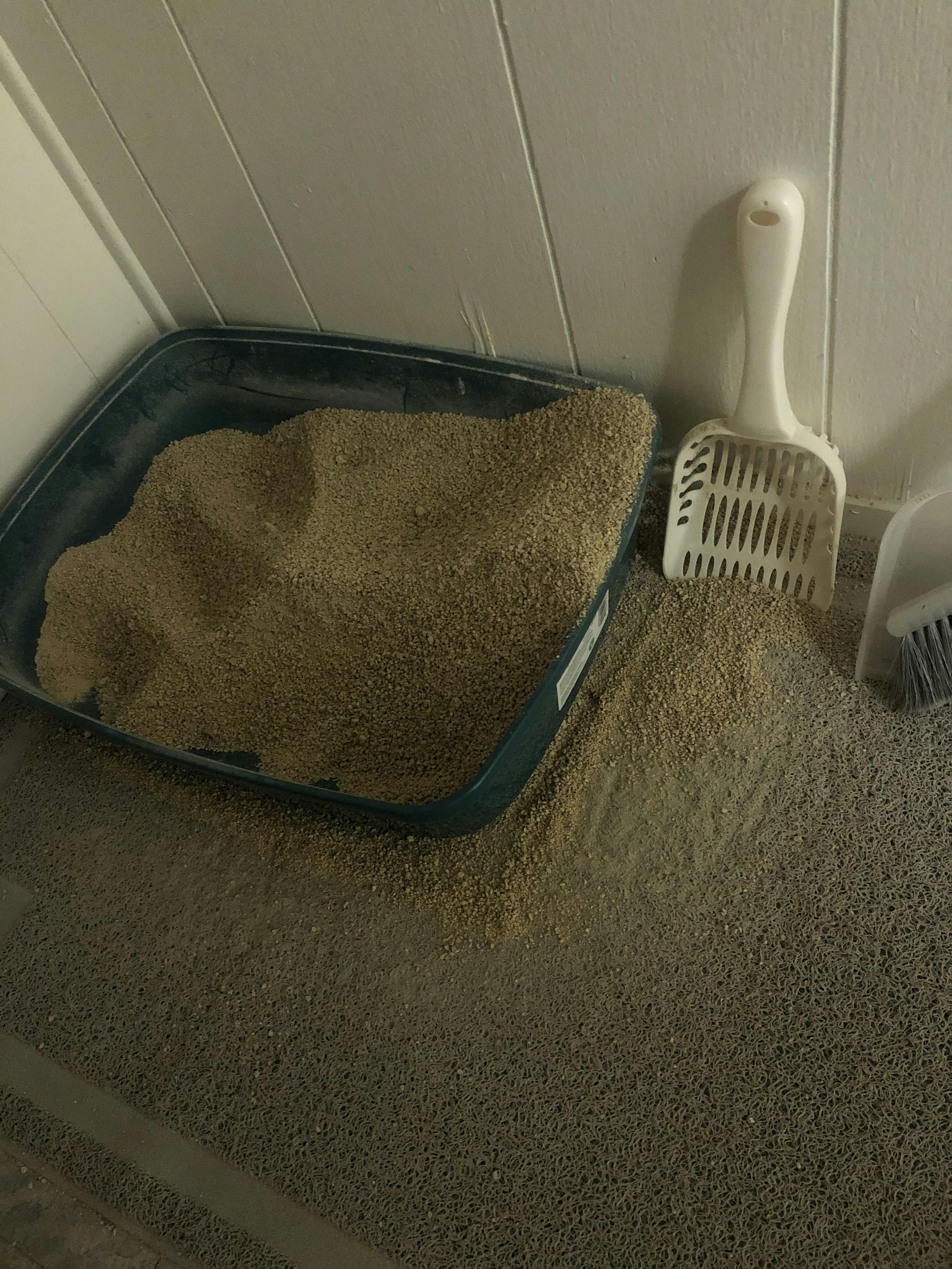 Modkat Flip Litter Box