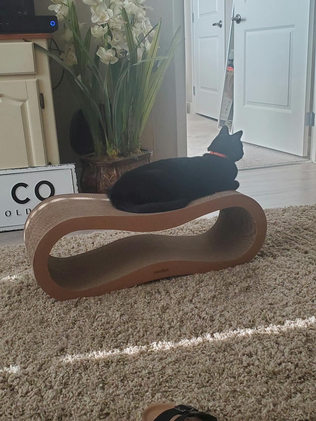 Scratcher Lounge That Naturally Attracts Cats Modkat