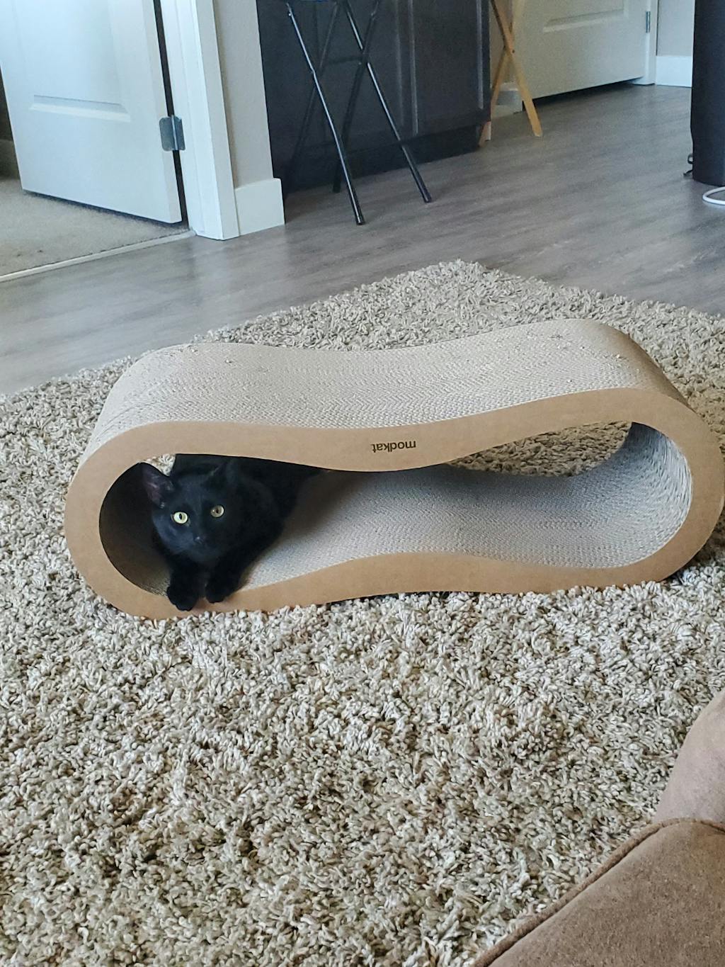 Scratcher Lounge That Naturally Attracts Cats Modkat