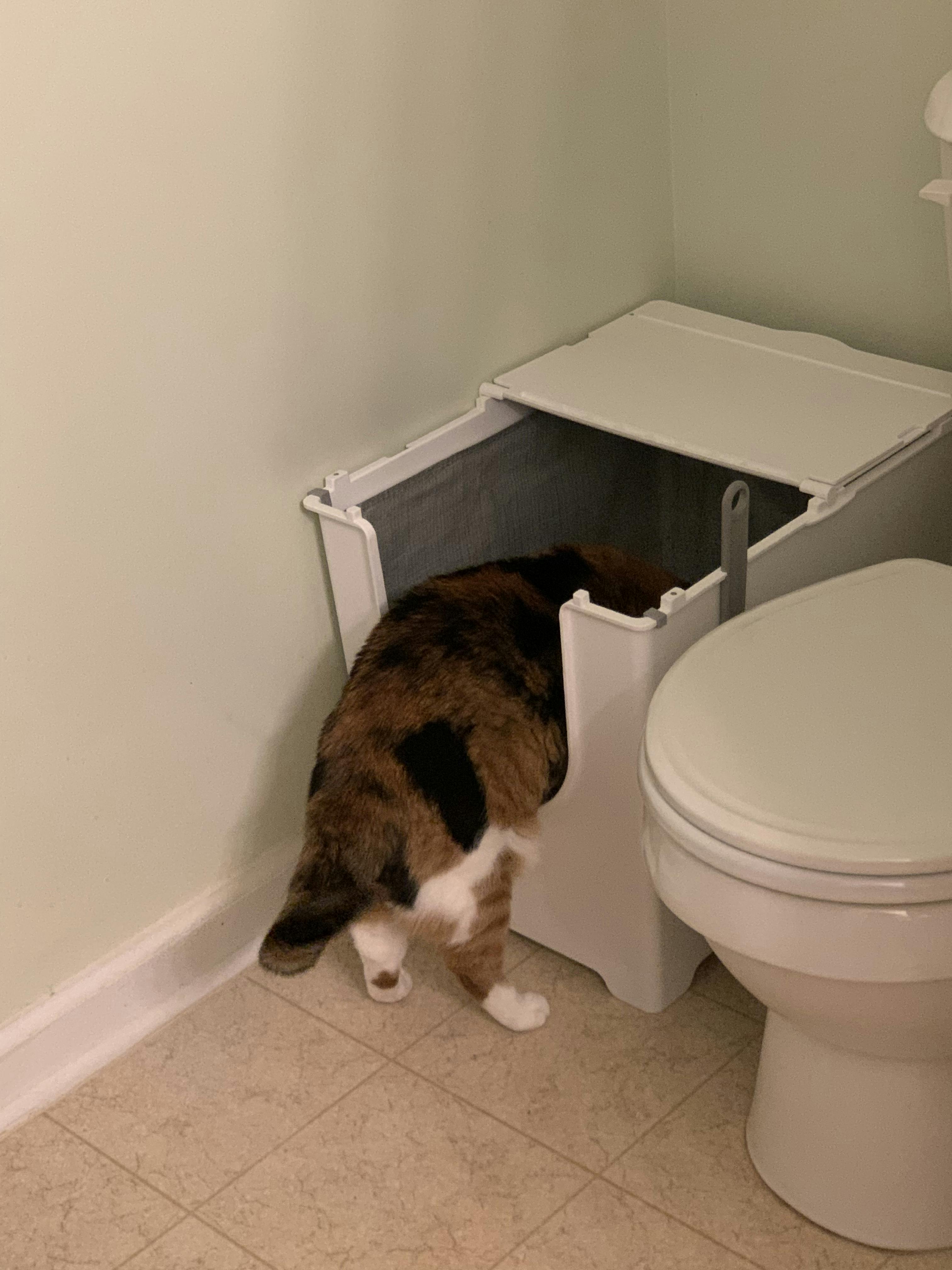 Flip Top Litter Box Fresh Flip Litter Box Modkat