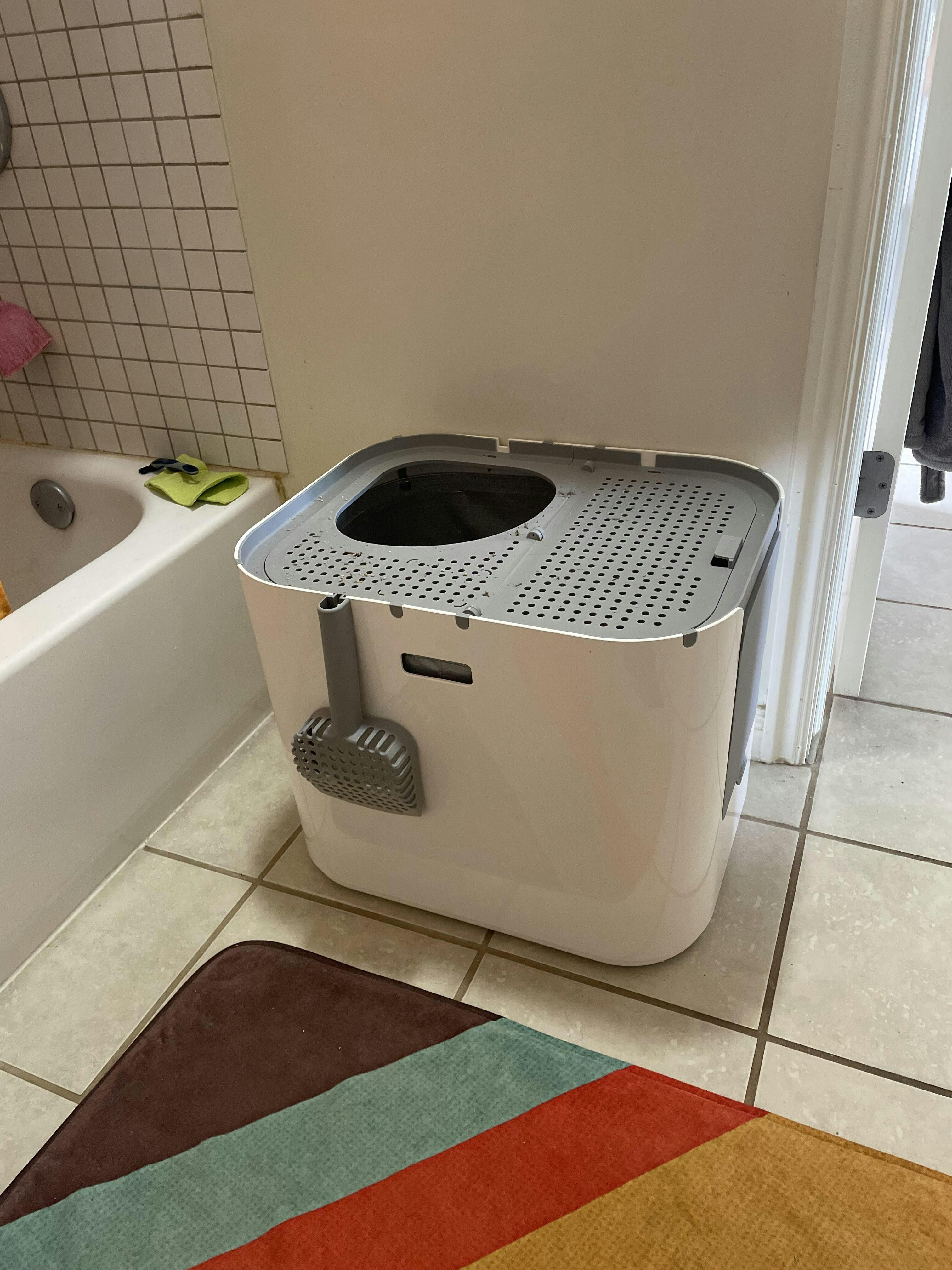 Extra Large Litter Box For Big Cats Large Litter Box Modkat