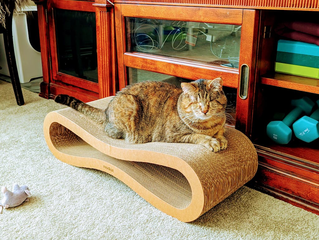Cat Scratcher Lounge Set Modkat