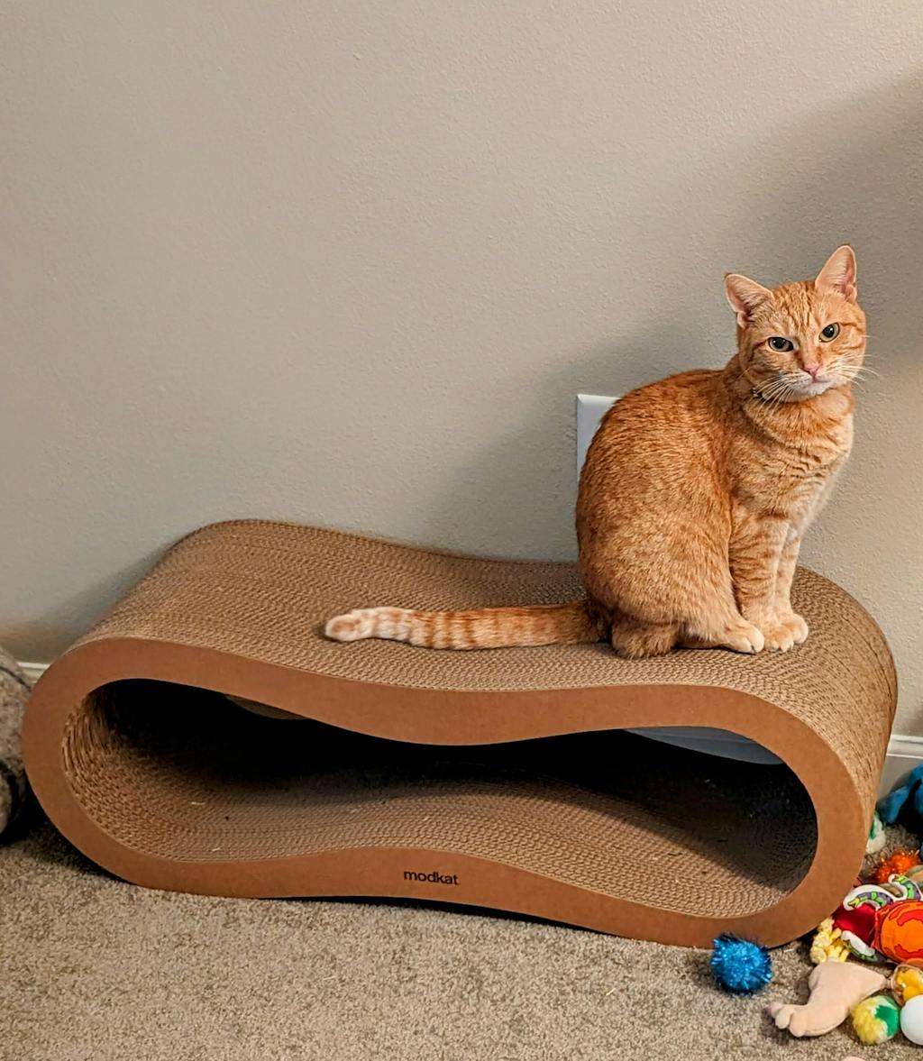 Cat Scratcher Lounge Set Modkat