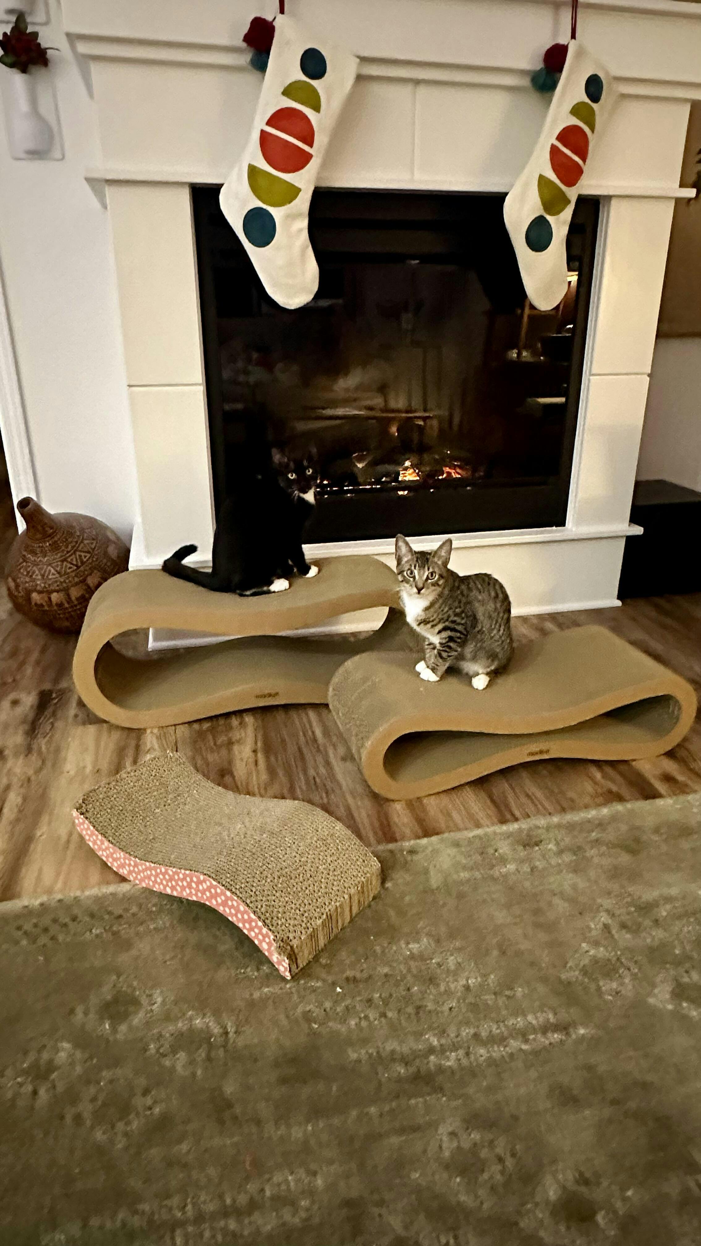 Cat Scratcher Lounge Set Modkat