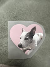 Personalised Iron on Transfers - DIY Heat Transfers Ready to Apply - DTF Transfer Gang Sheet Iron on Patch - Custom Own Logo Text Personalised