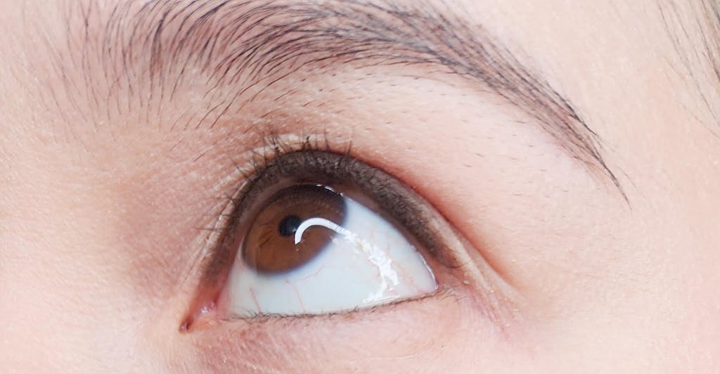 Maximum Volume & Lifting Mascara (002, Jet Black)