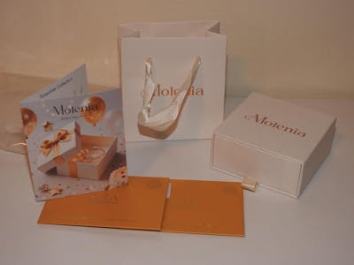 Molenia Moissanite Stud Earrings