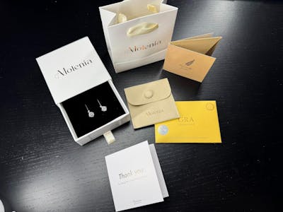 Molenia Silver Moissanite Drop Earrings