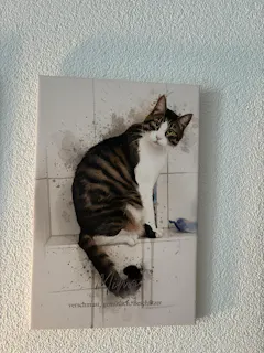 Review picture