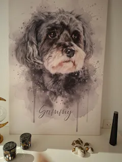 Review picture
