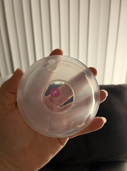 Breast Shell & Milk Catcher