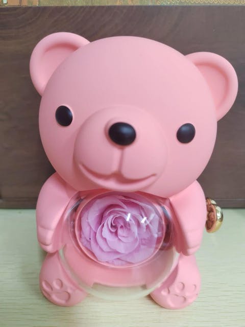 Ours Rose Éternelle et Collier Personnalisé